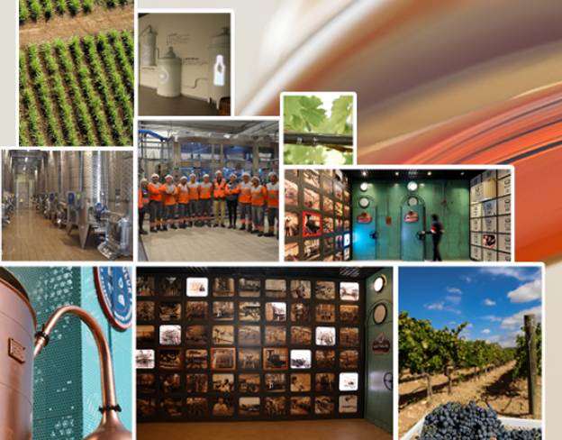 Sürdürülebilirlik Performans