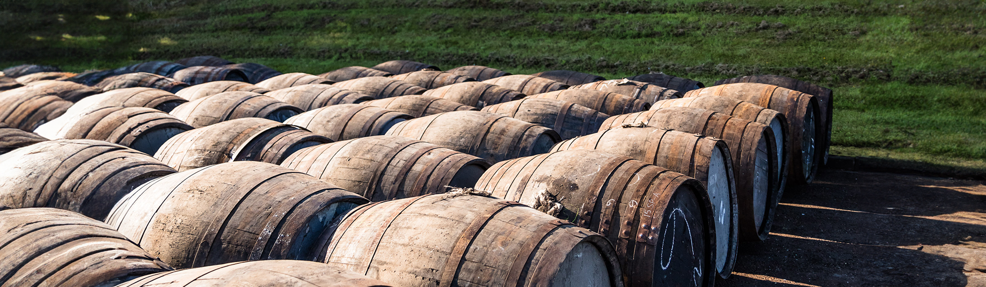 Tohumdan Kadehe Sürdürülebilirlik