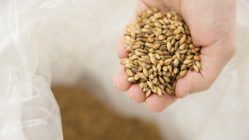 Sorumlu Tüketim 2030